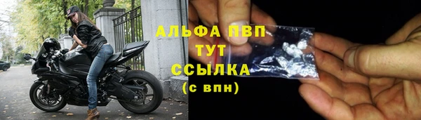 ПСИЛОЦИБИНОВЫЕ ГРИБЫ Дмитров
