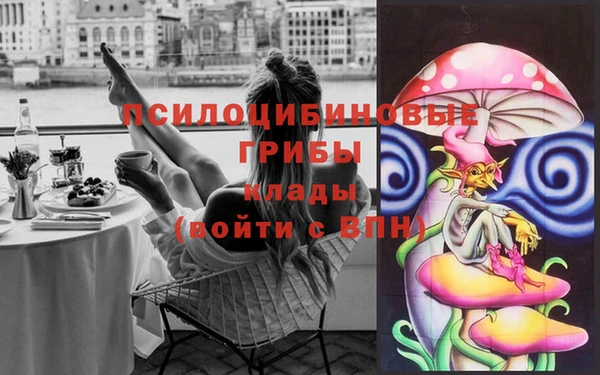 ПСИЛОЦИБИНОВЫЕ ГРИБЫ Дмитров