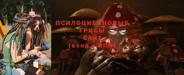 ПСИЛОЦИБИНОВЫЕ ГРИБЫ Дмитров