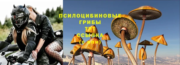 винт Дмитровск