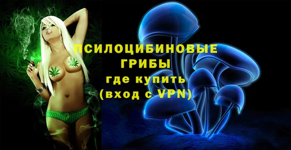 Альфа ПВП Дмитриев